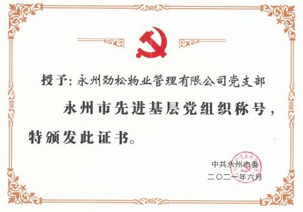 公司党支部荣获“永州市先进基层党组织”称号